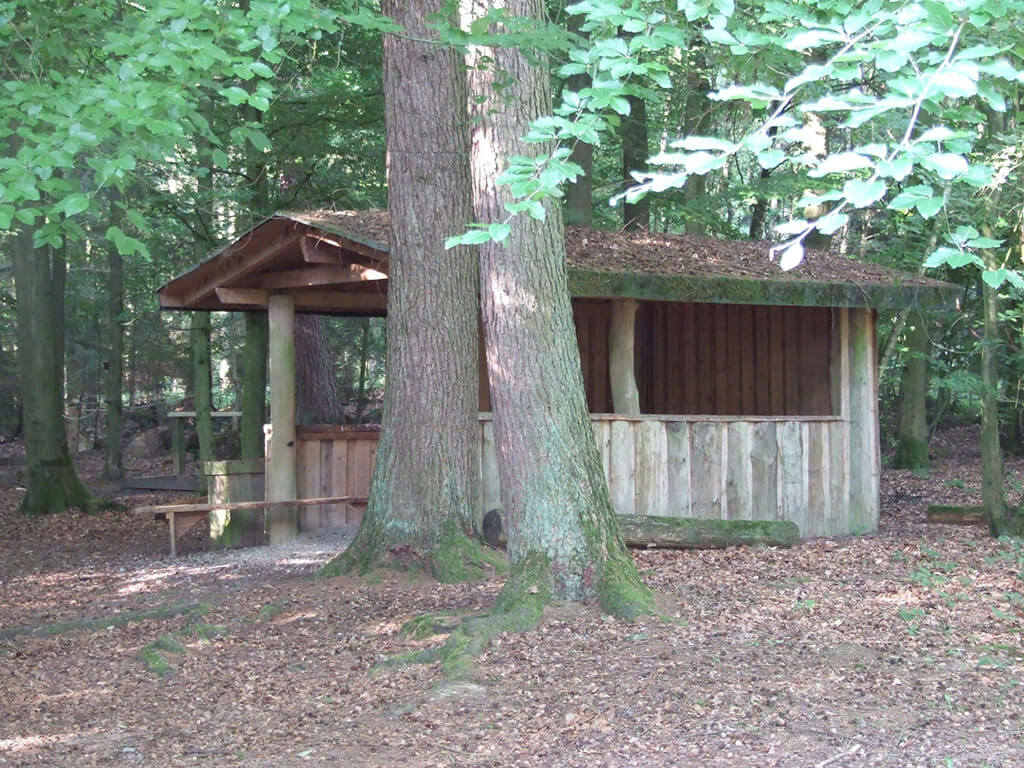 Waldhütte Barfußpfad
